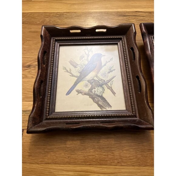 Vintage Wood/Scallop Framed Bird Ornithology Prints Ph. Gommer Bluebird/Female - Picture 6 of 9